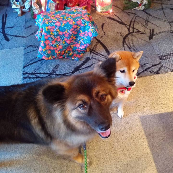 F52d04da a570 4ed9 843a 215864d907d1 1766203685053