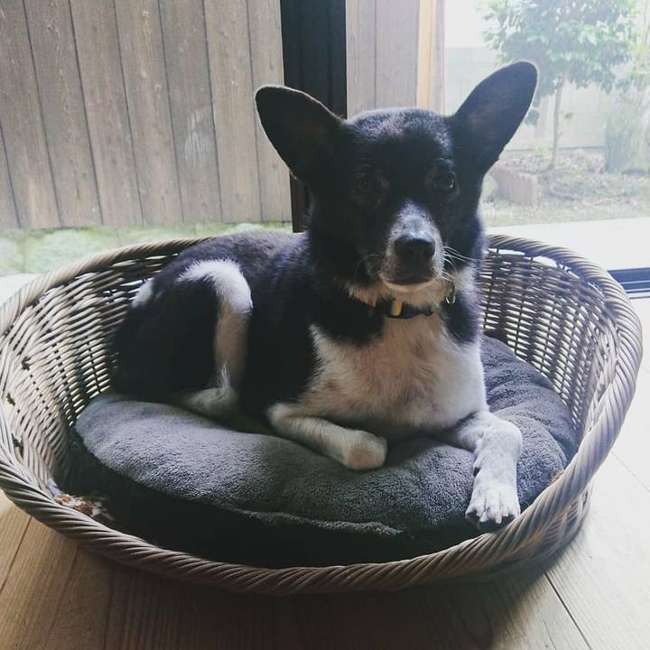 F52d1115 95a8 44e7 81c0 c69332c4f90e 1623644010920