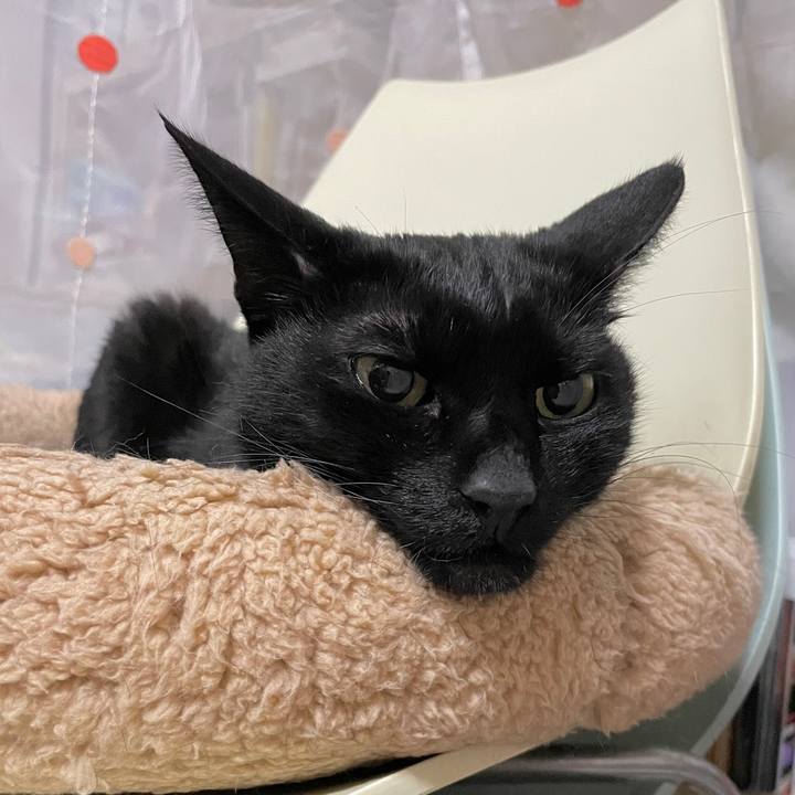 F52d2a93 9043 463f 95cf cfc407bcdddb 1682506911529