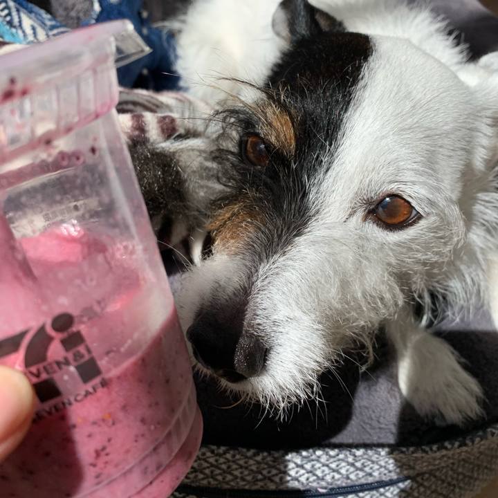 F52d3611 cafb 4741 a3c0 f88db574ca7f 1678852092100