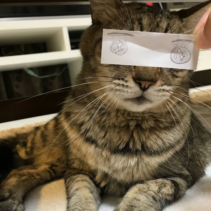 F52d3aee 4943 4b92 815a 595f7b268b79 1592729520217