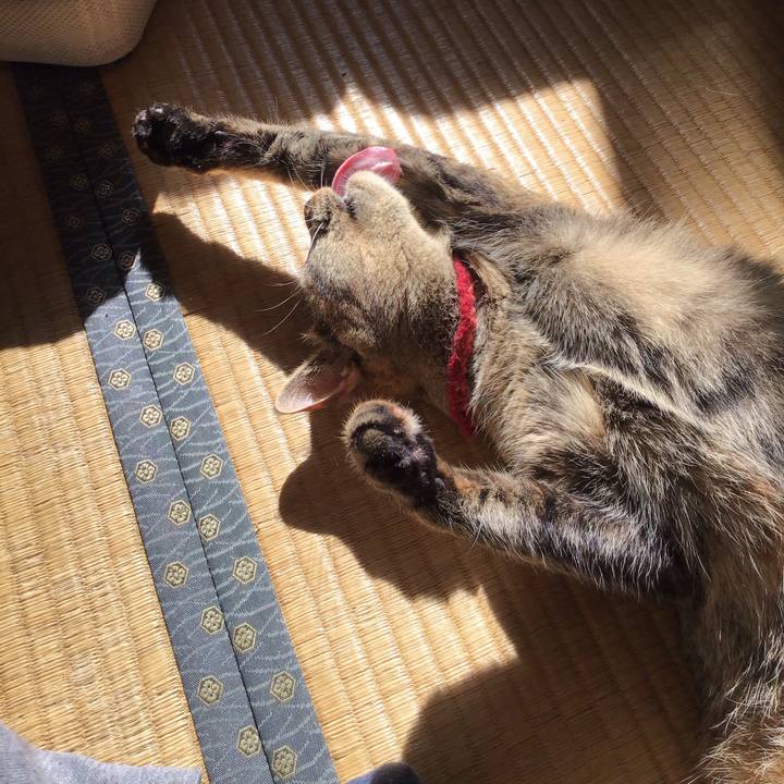 F52d62da 007b 4806 9dde 582e3e95969d 1598742671229