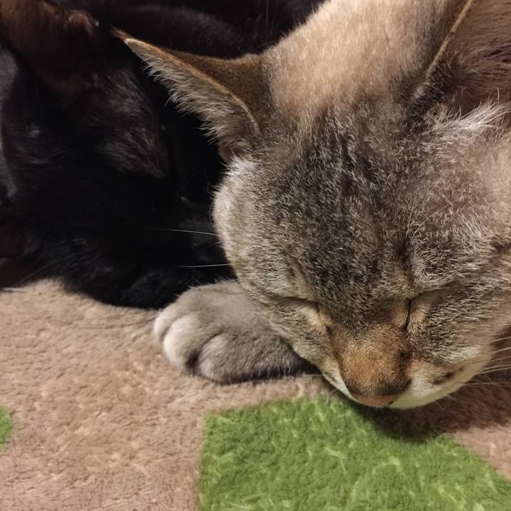 F52d6712 2b2f 4f5d 90a3 6cd48b22845a 1518818662847