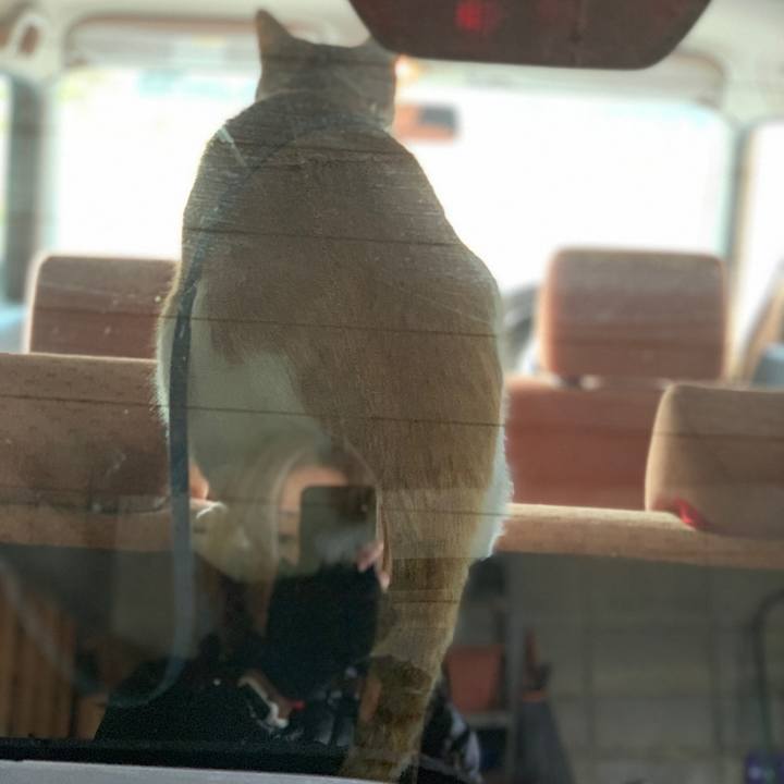 F52d7977 fc87 4bc7 bbec cda6be195786 1575170555519