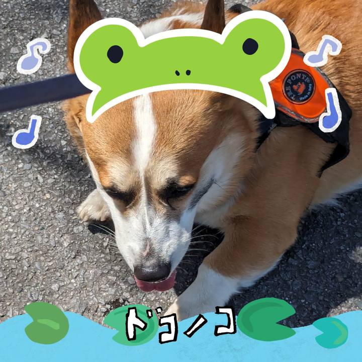 F52dde2c e060 4f7f abd3 e3325e305436 1718337677235