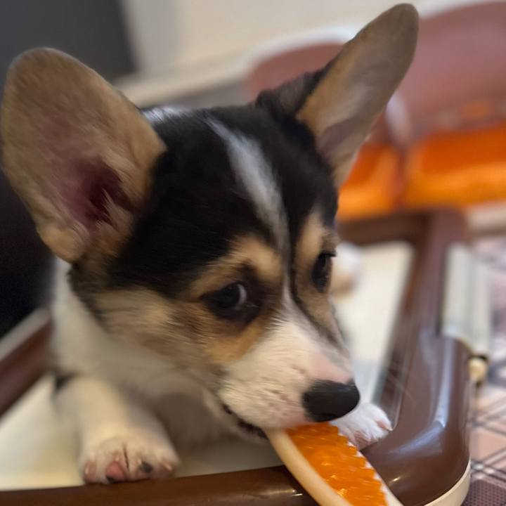 F52df622 e201 4715 9a03 4e1e16006cab 1769469698524