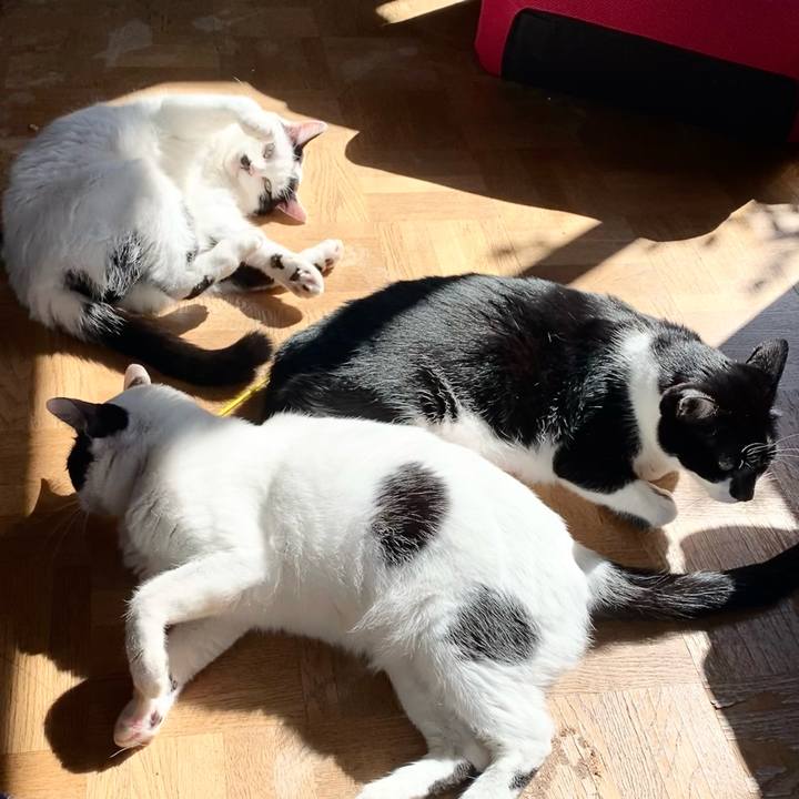 F52e13b6 f69f 4922 bce3 c031841a8413 1698028895685