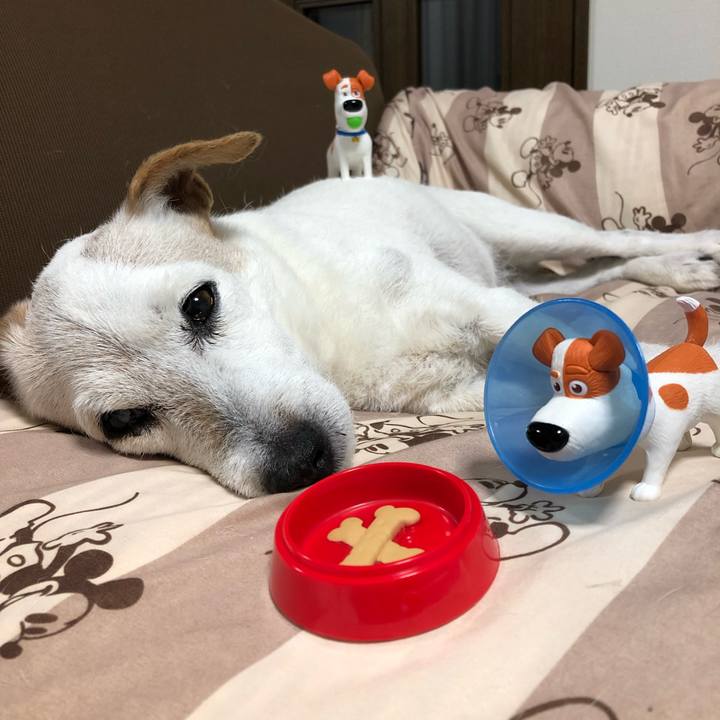 F52e16d7 a9c2 43b5 b0a6 d378eee4c2c5 1564825680881