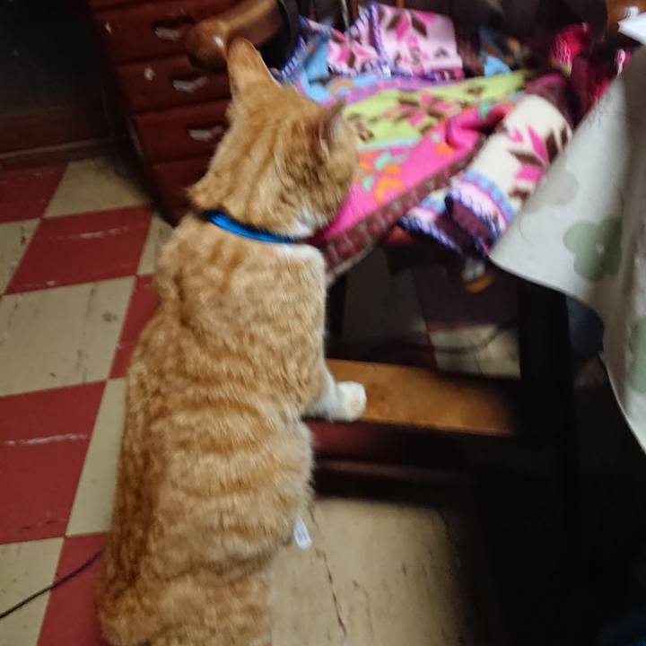 F52e1cba 73f6 4d8f 9ea6 5d2662c4ceb0 1555186217993