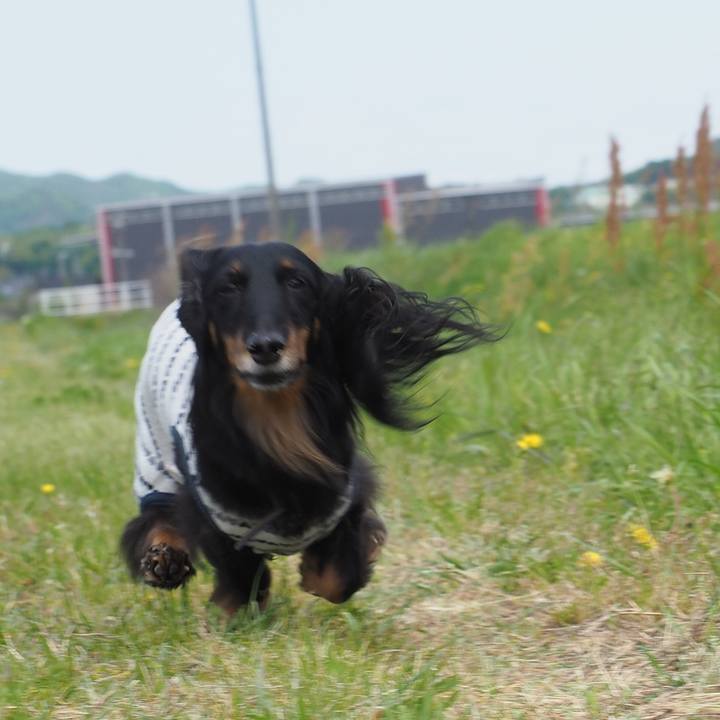 F52e3791 ca7d 4c8e a754 6794b9c295a3 1619324910728