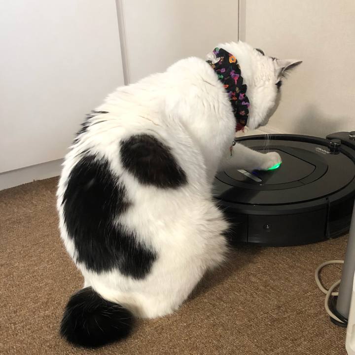 F52e3983 c422 462b 955b 13a39f34f4a7 1522884024170