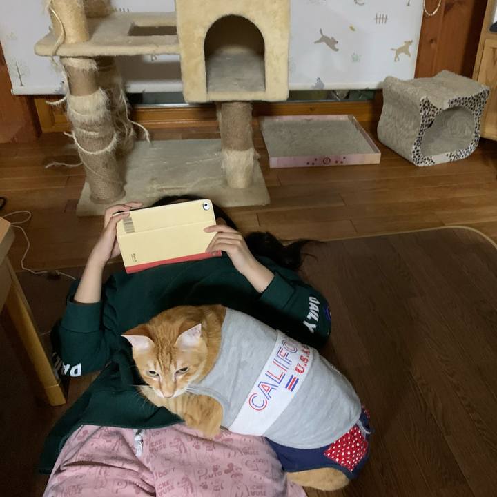 F52e5294 22b0 4b89 ae88 4f6b40875822 1617083549733