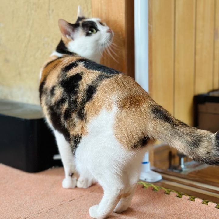 F52e6854 d5f1 4478 859d f1e6fa51306d 1669597037523