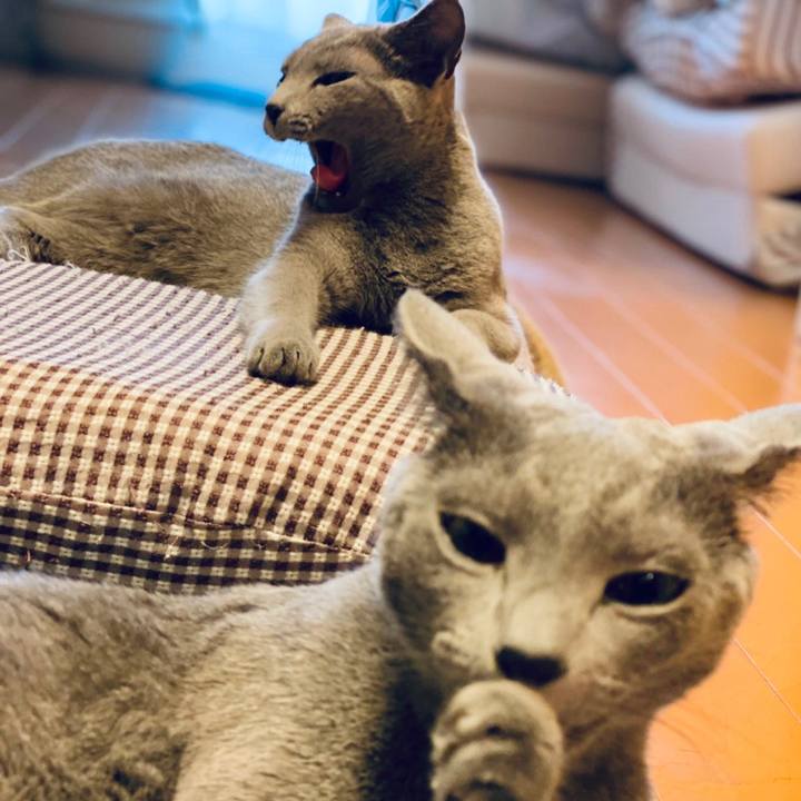 F52e7786 ebfe 46d2 86bd 99873290083f 1629196861984