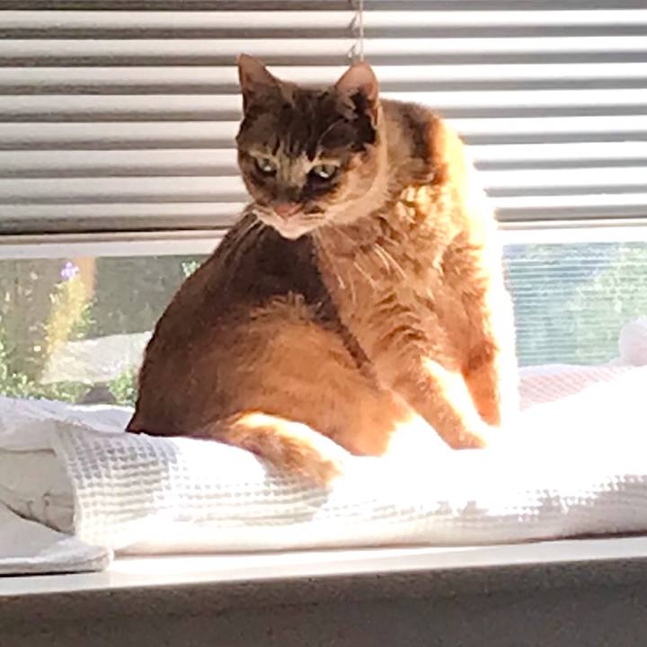 F52f11de e037 40fe 94de 45e57f0b8c9c 1649638177196