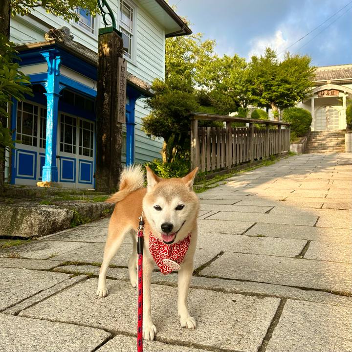 F52f325c 61f6 4bb5 8df5 cc8b341e8135 1753096045569