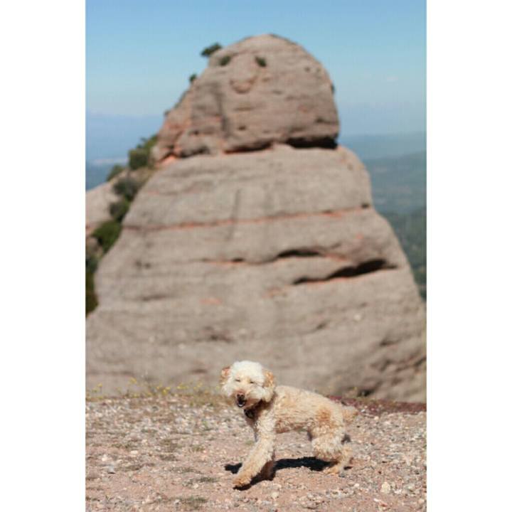 F52f45da 4182 4057 b10f d0aef28b0d4a 1553111143257