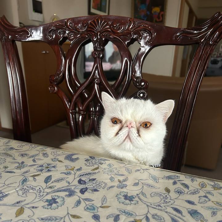 F52f5732 001f 4310 b511 fad3ea240f71 1770777747395