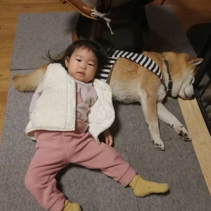 F52fd864 9df2 44b7 80b0 6ba86bc2385a 1642592329331