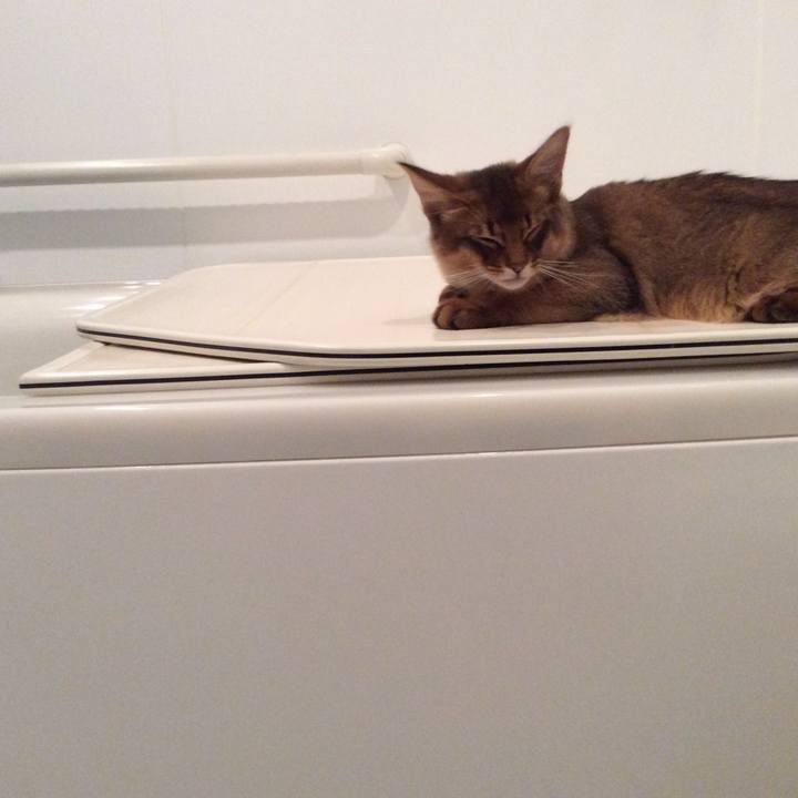 F52fe92e cc03 4d25 9d42 4f9c84a571c4 1574293532223