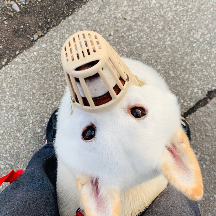 F52fed81 6b90 404c aed8 936be607560f 1570400026231