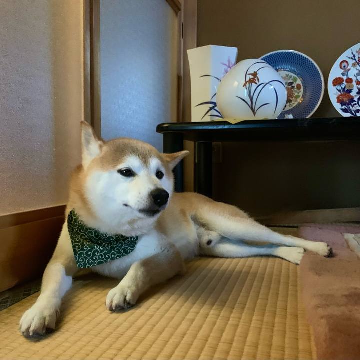 F5306cb6 ffcb 4ee7 ad10 17db4806bc6b 1689236239571