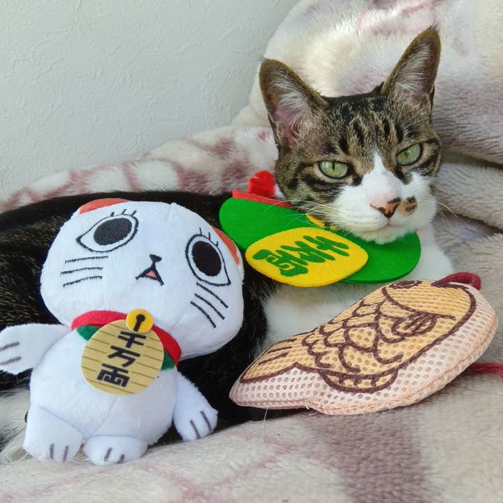 F5308a28 3034 4d03 a9ef 01d645c84283 1767241619953