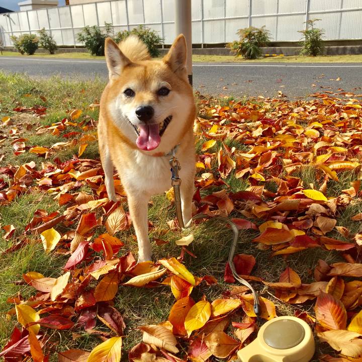 F530c8c1 35c5 4b81 9d1f 791175953adf 1542594177999