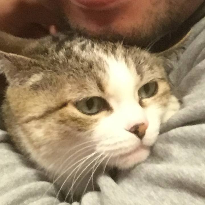 F530e889 6753 420f bfe5 5963867f964b 1761778726063