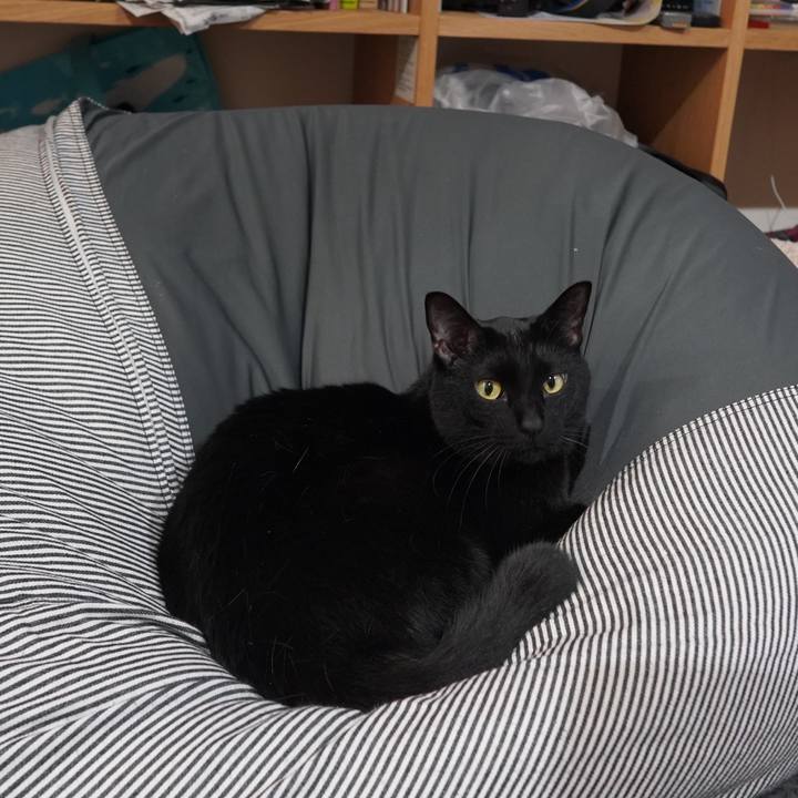 F5313b52 fbf0 42ce 82e4 c372787cc36f 1612534362419