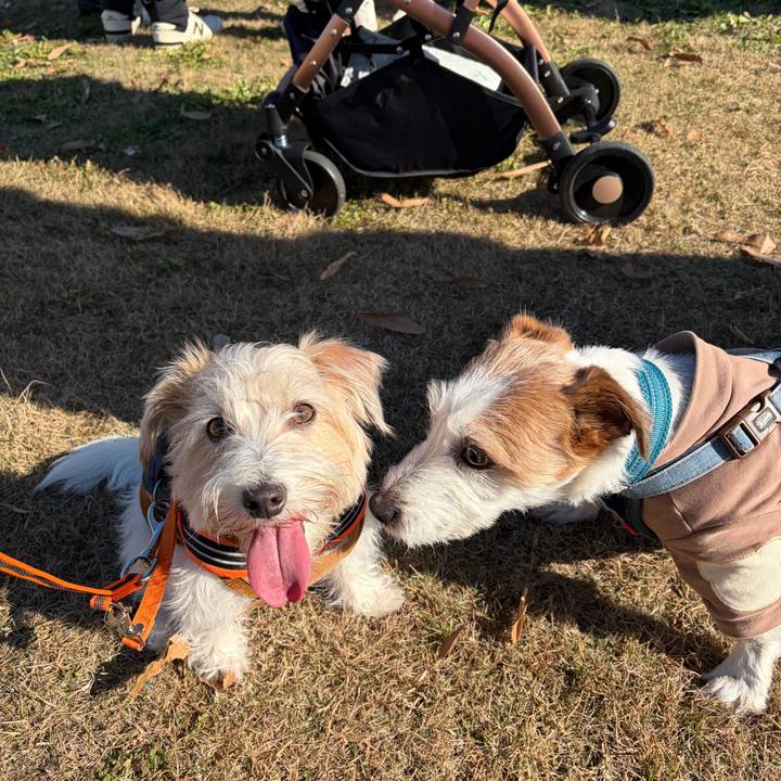 F5314553 8c21 4124 971c 1aa54f583e79 1764989781215