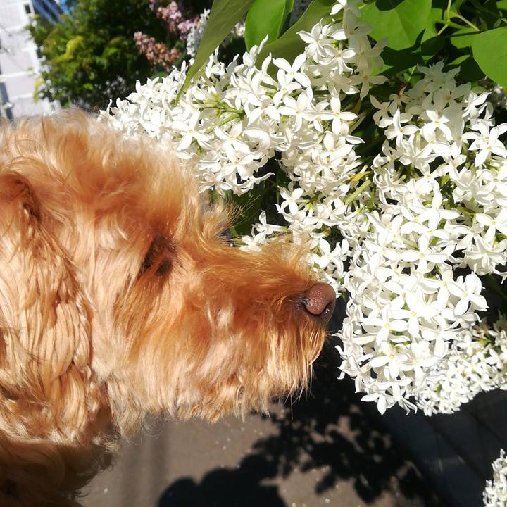 F5315498 442a 498f 82fe 6a742cfa5544 1527122907632