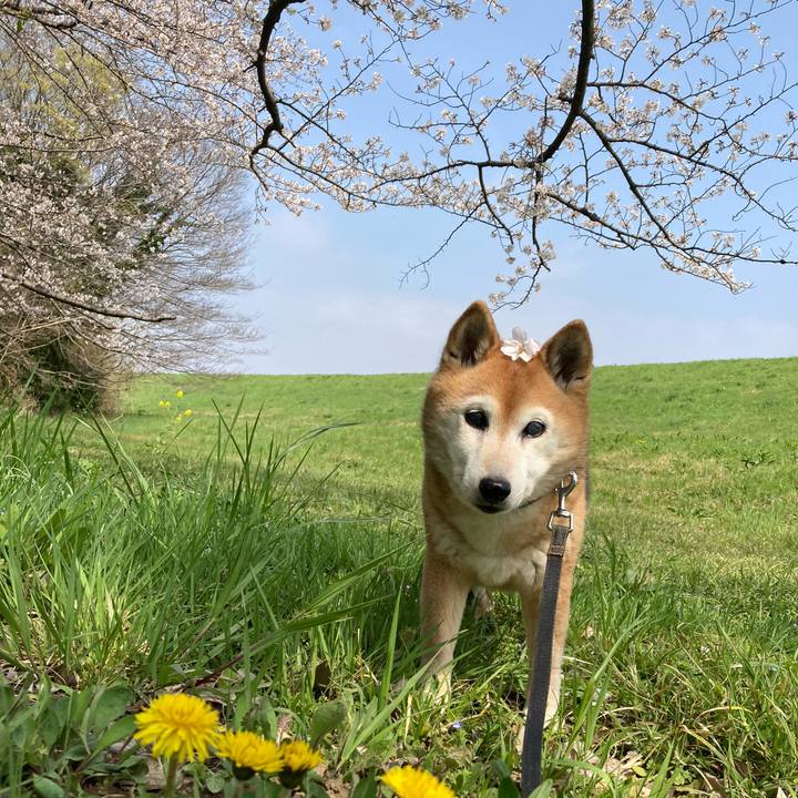 F53164dc 542a 485c aaf5 cd294cbd8b5e 1774841898491