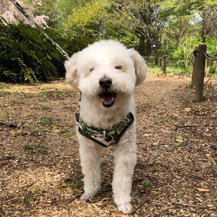 F5318bdf 9480 4090 97bf 603edc03634e 1523193521868