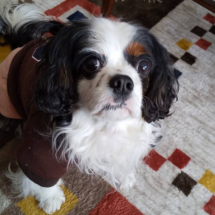 F531a927 63c3 4f41 8ac8 de5fb7e52d91 1587271789036