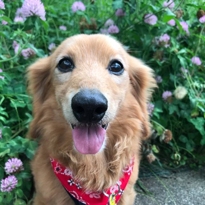 F531d1ae 821d 447c 883c 43feff10c5aa 1590904097726