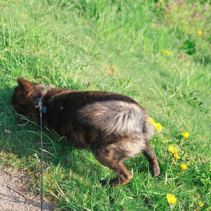 F531d4f7 0e2e 4b4a ae5d 45493ec78869 1524265893391