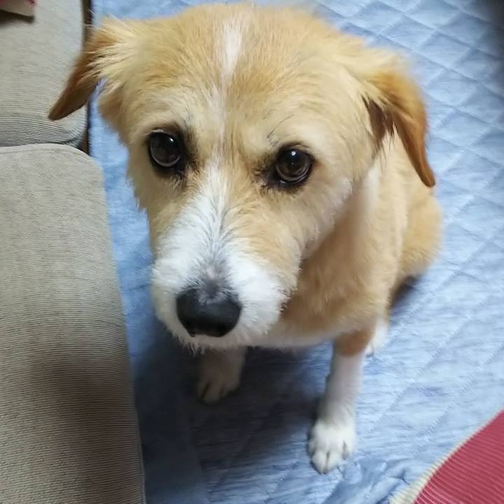 F531db12 4ad6 4607 a1ce 072004c7e0b8 1561121211139