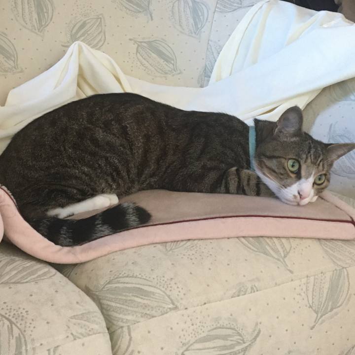 F531eee3 d29f 47ea 90ef 53a4131d705b 1699579333926