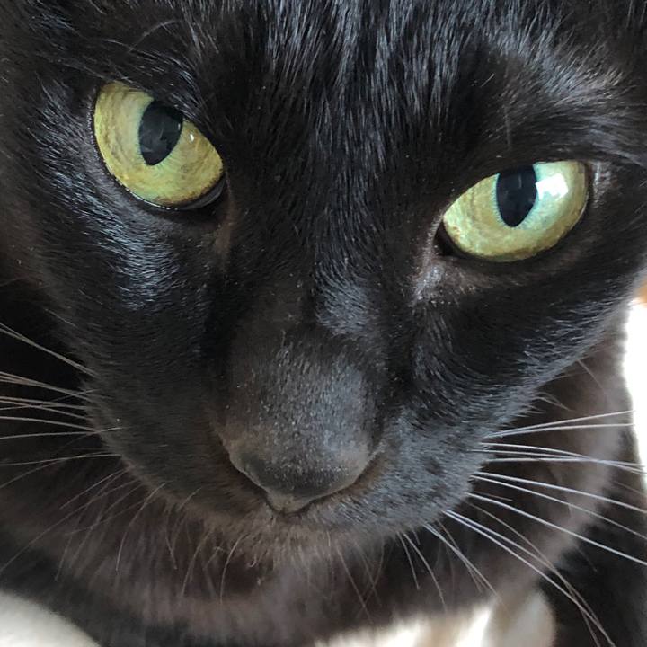 F531f692 14fe 492f 9b62 d2f7388fdb75 1726447190697