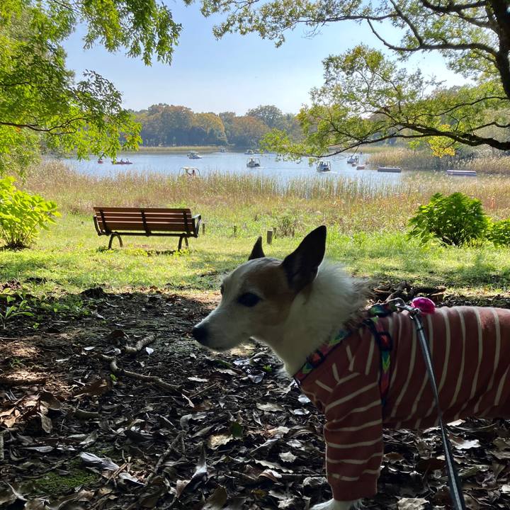 F5320af3 613a 4bc4 ab8b f1aa1d3e251e 1730935581388