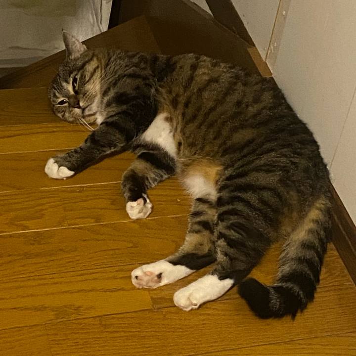 F532161a bbcc 4957 9cd6 804da4e3f562 1660658033777