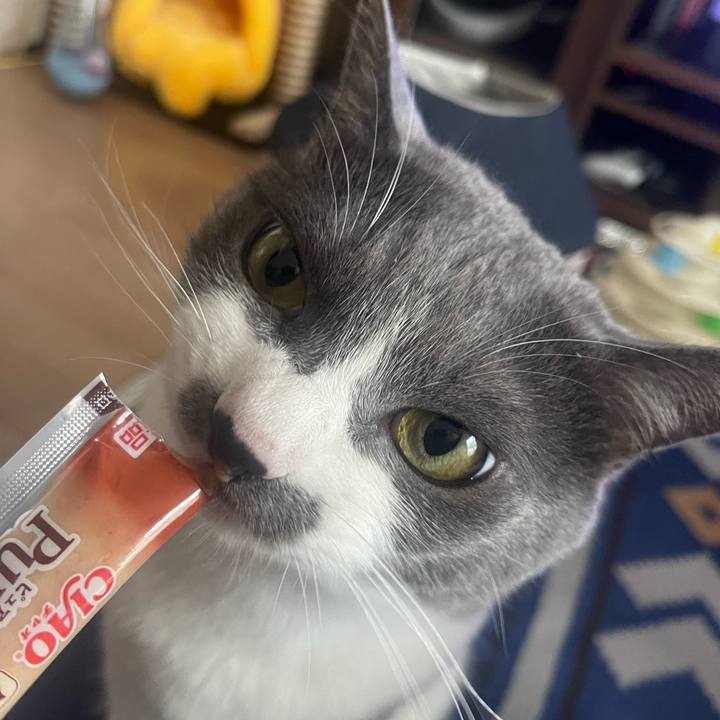 F53218c2 88ef 4baa 99fd cbcf955ddb15 1684665730459