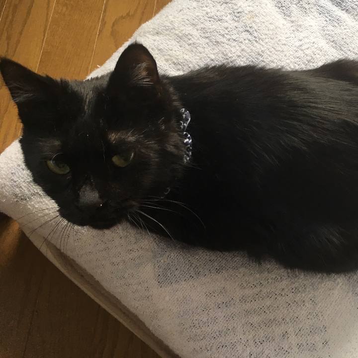 F53229b2 4447 4899 a476 453e740fabdb 1550249023143