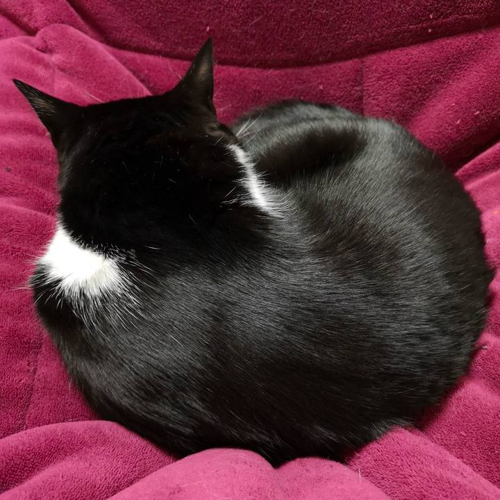 F5323b52 aebf 4519 97bd 15dc273e44e2 1554081287493