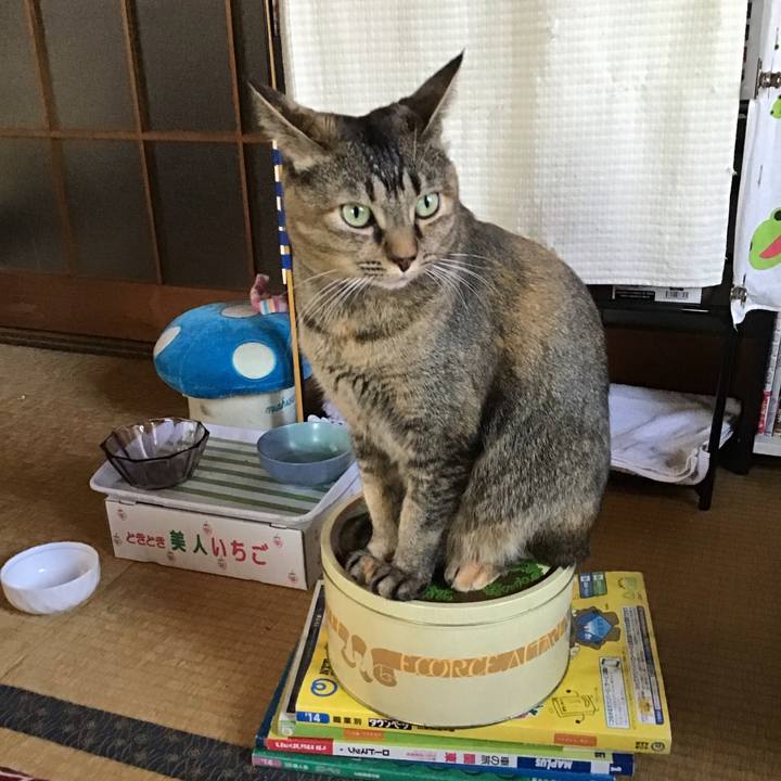 F532479e eb37 4304 9d01 bd5bdcb529be 1637382522412