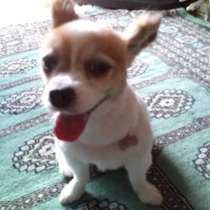 F5324992 ef02 4ade aa47 99fcd87ee581 1534602788754