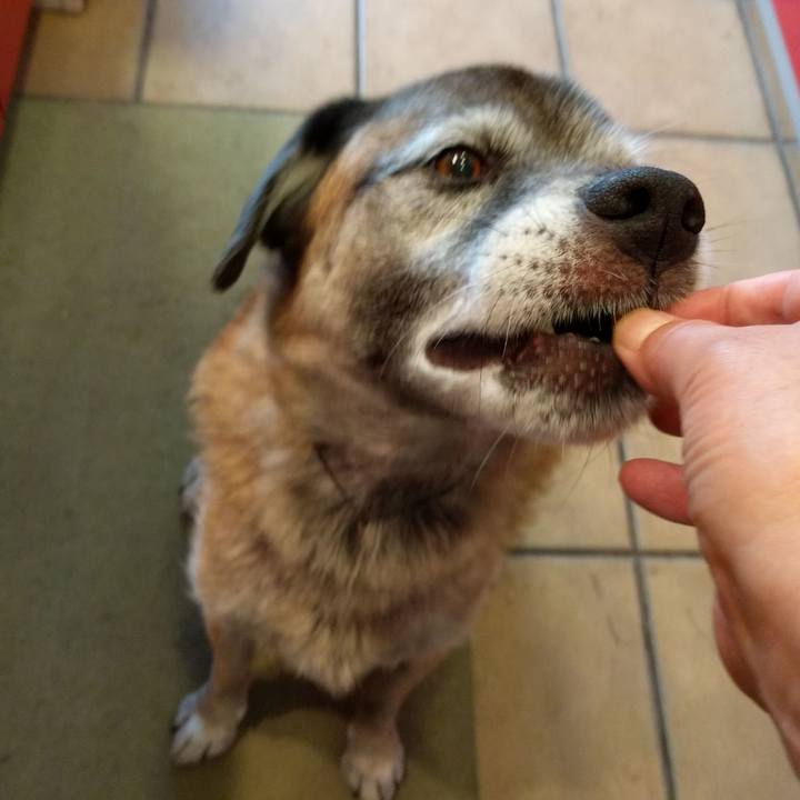 F532a392 bb4d 4603 b8d6 6b2797010fcd 1536107633519