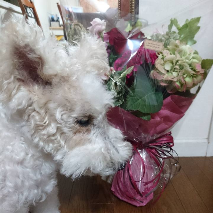 F532b923 64a9 4bb3 98d7 14b6bd1ff56b 1507811116645