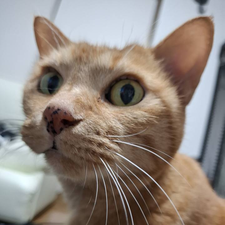 F532e55f fa85 4943 b00e 10cb0f046cab 1754705854073